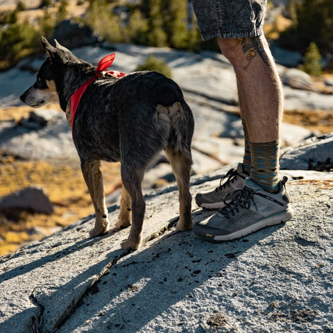 Trail 2650 Charcoal/Goblin Blue